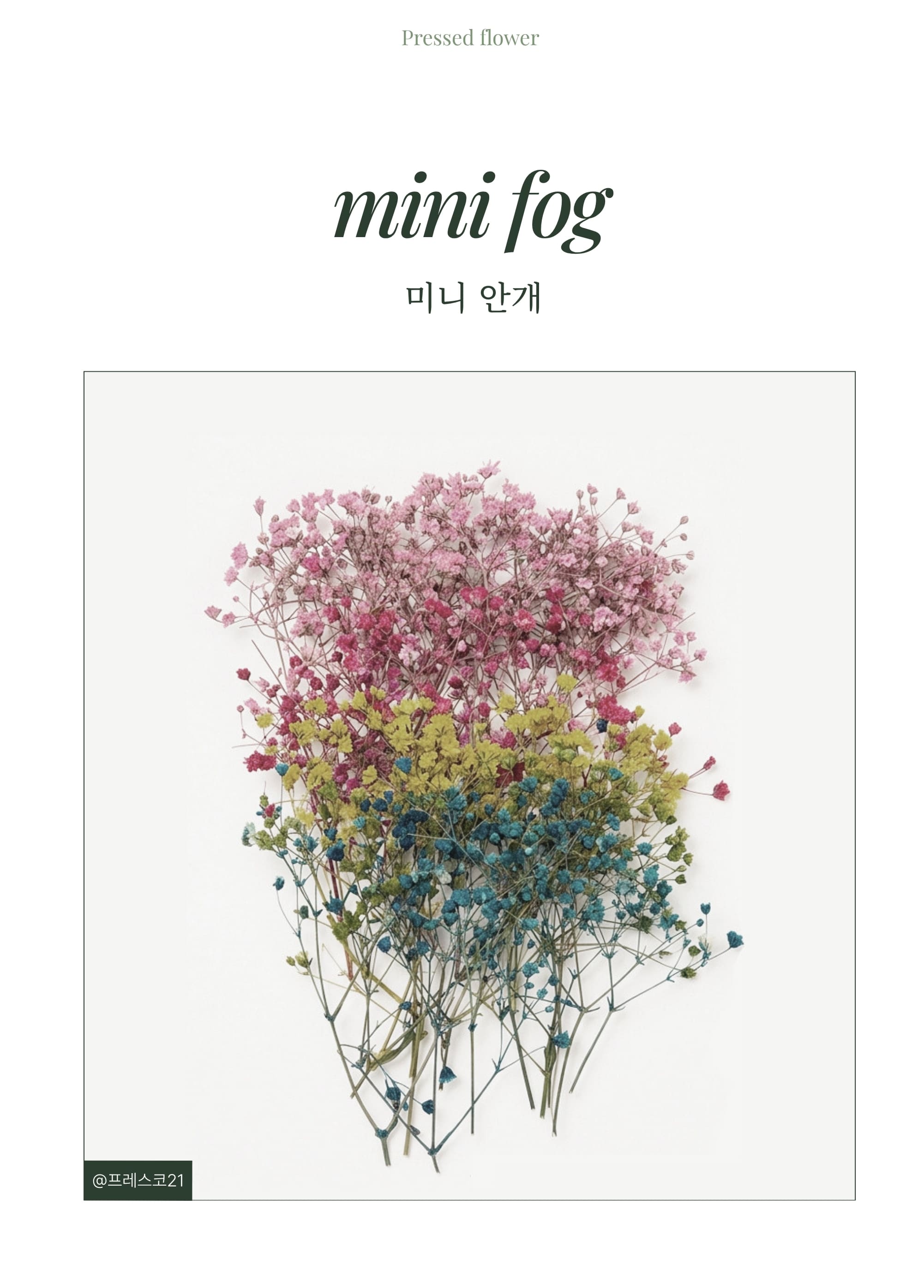 상세이미지 01