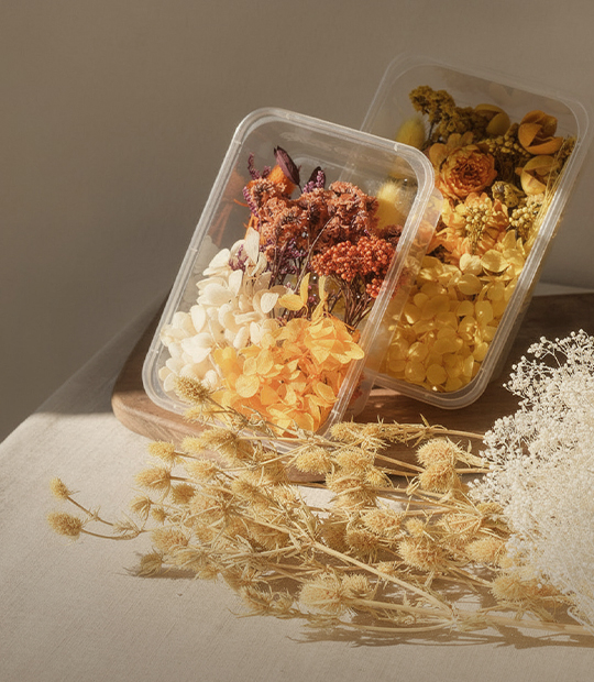 03.드라이&프리저브드플라워